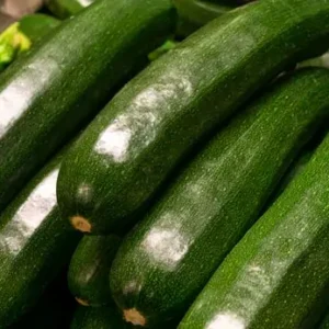 distribuidor-calabacines-1