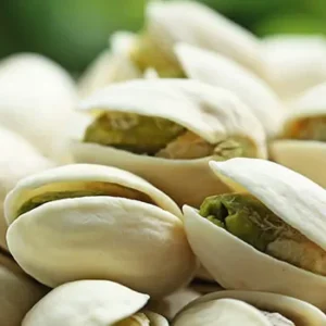 distribuidor-mayorista-pistachos-2