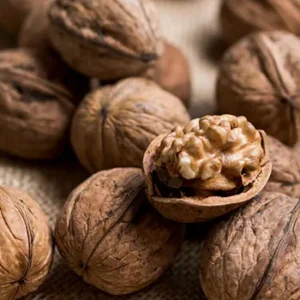 distribuidor-nueces-2