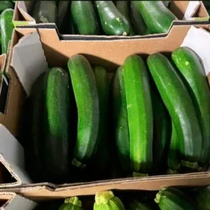 mayorista-calabacines-2