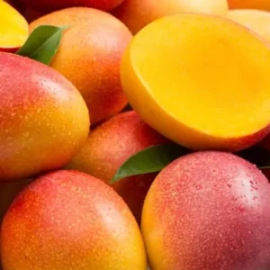 mayorista-mangos-1.webp