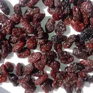 mayoristas-pasas-secas-3