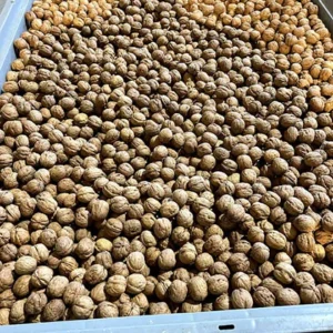 nueces-al-por-mayor-3