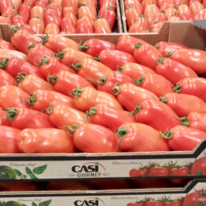 San Marzano 4 kg Casi