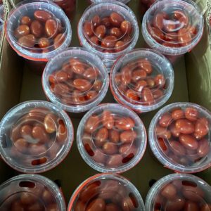 eimer Tomaten 14X500 gr