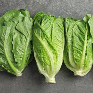 lettuce romaine-nema1