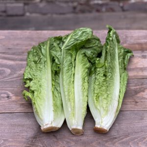 lettuce romaine-nema5