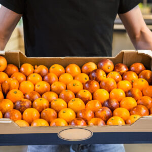 Smiling customers buying sicilian oranges, lemons and tangerines in grocery section