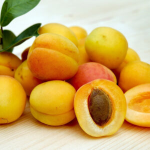 apricot3-nema
