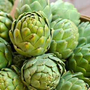 artichoke3-nema
