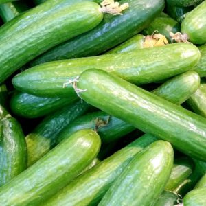 cucumber8-nema