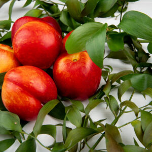 side view of fresh ripe nectarines with green leaves on white background