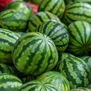 Stock photo of a pile of green and striped watermelons, photographed in the real photography style, with bright colors, high definition closeup shots, high resolution, and high detail with clear focus. The background shows a market scene. The stacked watermelons are full, with each watermelon having a round shape with long stripes and a green color tone, where the watermelon texture is clearly visible in the full body photo, --ar 3:2 --style raw --stylize 50