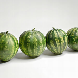 Stock photo of 3 Watermelons in the style of AmirElite studio lighting, white background, hyper realistic photography, stock photo style, raw q8PQTNEUI7vJ --ar 3:2 --style raw --stylize 50
